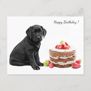 Cartão Postal Cãozinho Preto - Feliz Aniversário do Cachorro -