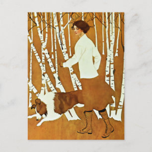 Cartão Postal Capa da 'Garota Fadeaway' de Coles Phillips no pas