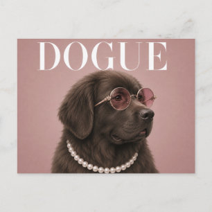 Cartão Postal Capa de Cachorro Terra Nova Rosa