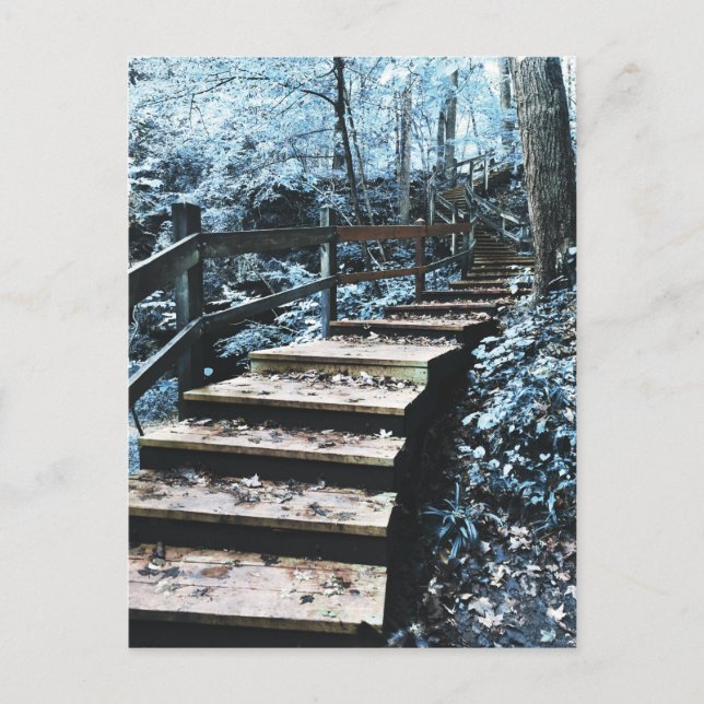 Cartão Postal capa-de-noite de escadas (Frente)