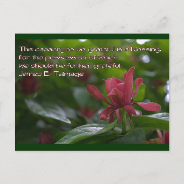 Cartão Postal capacidade grata (Frente)