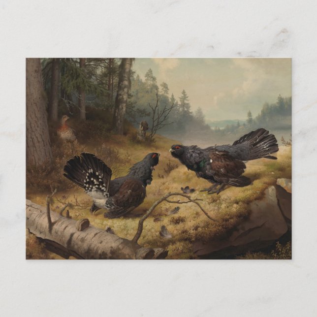 Cartão Postal Capacidades de Luta por Ferdinand von Wright (Frente)