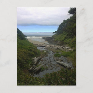 Cartão Postal Cape Cove, Cape Perpetua, OR