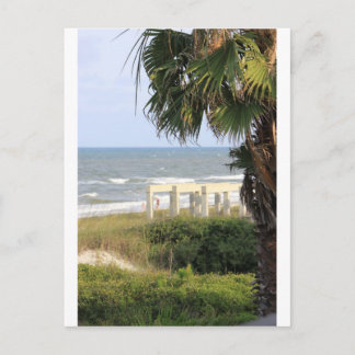 Cartão Postal Cape San Blas Ocean Sea Mermaid Salt  