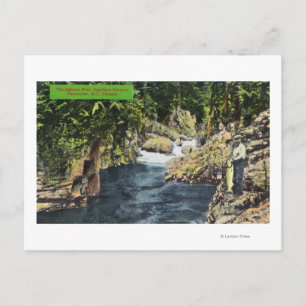 Cartão Postal Capilano Canyon View of the Salmon Piscina