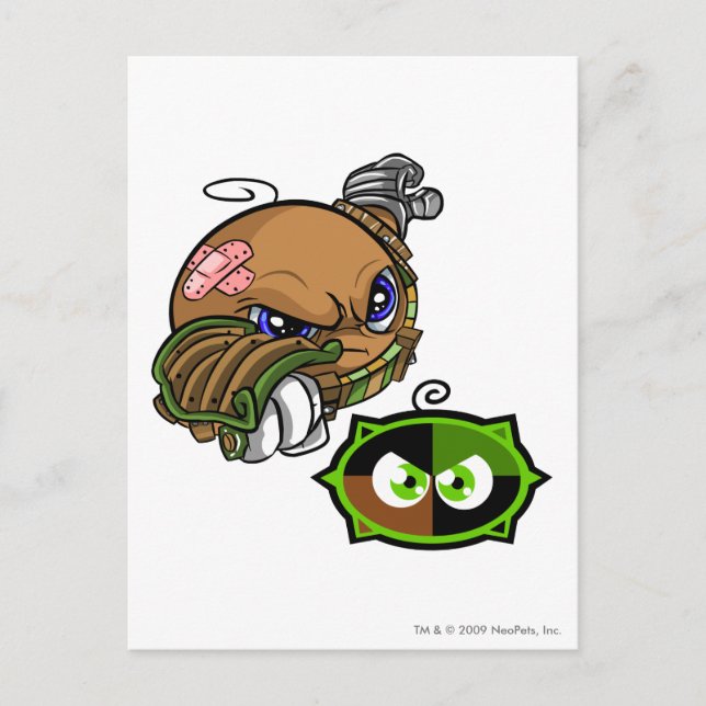 Cartão Postal Capitão 1 da equipe do lago Kiko (Frente)