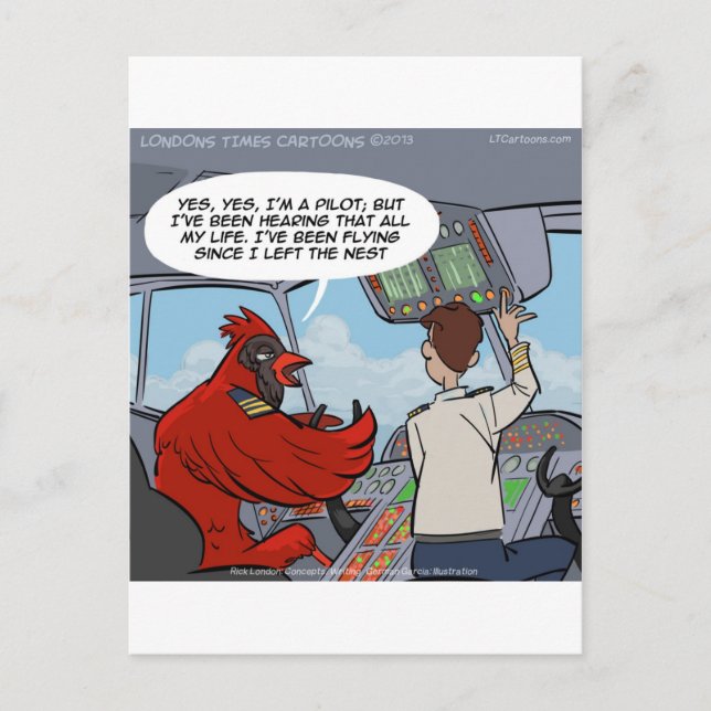 Cartão Postal Capitão Byrd Voa Um Jumbo Funny (Frente)