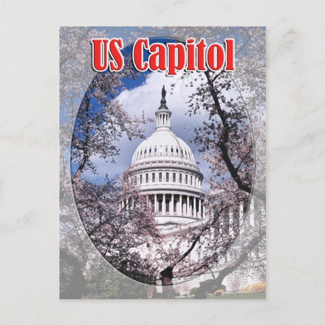 Cartão Postal Capitólio dos EUA com flores de cereja, Washington (Frente)
