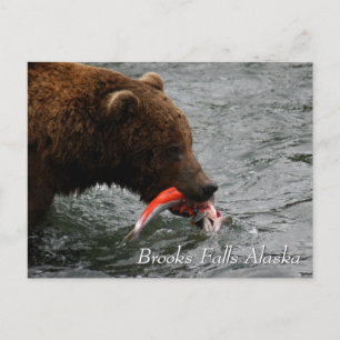 Cartão Postal Capturado, Brooks Falls Alaska