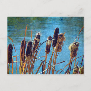 Cartão Postal Capturas no Pond