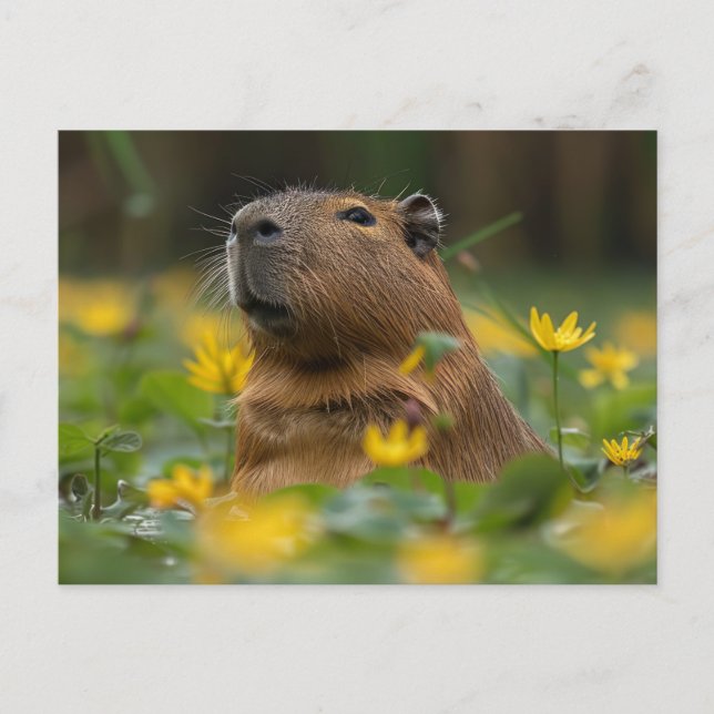 Cartão Postal Capybara Entre Lírios Amarelos (Frente)