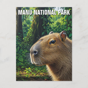 Cartão Postal Capybara no Parque Nacional de Manu, Peru