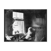 Cara Sempre à Luz do Sol: Homem Branco na Mickle R