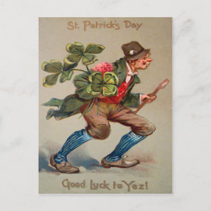 Cartão Postal Cara Veterana Tubo Sorte Shamrock Dia de São Patrí