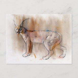 Cartão Postal Caracal Árabe 2009