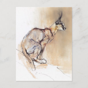 Cartão Postal Caracal sentado 2009