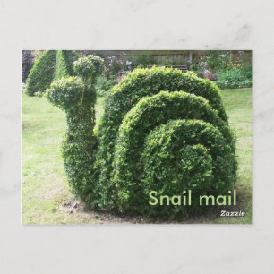 Cartão Postal Caracol de jardim Topiary e grana verde