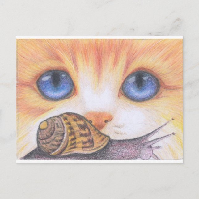 Cartão Postal Caracol e Gato (Frente)