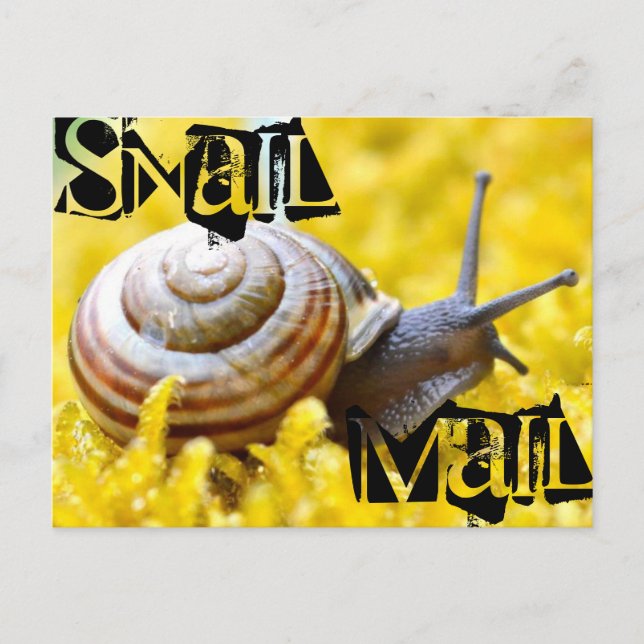 Cartão Postal Caracol Mail (Frente)