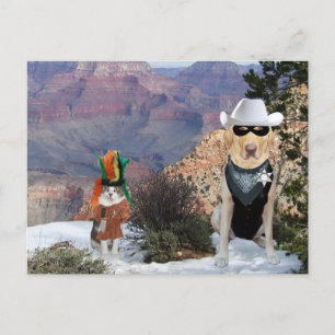 Cartão Postal Caracteres Ocidentais Engraçados de Gato e Cachorr