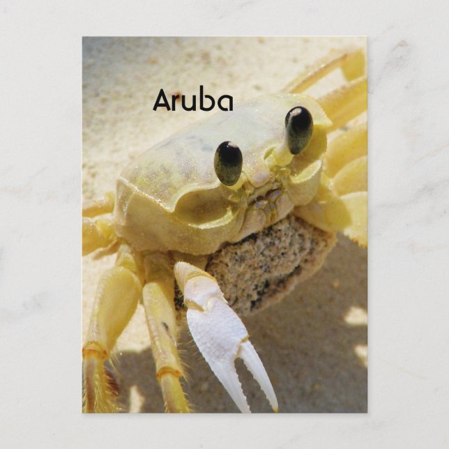 Cartão Postal Caranguejo (Frente)