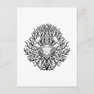 Cartão Postal Caranguejo