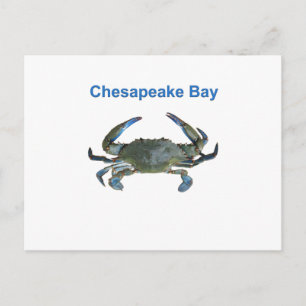 Cartão Postal Caranguejo Azul de Baía Chesapeake