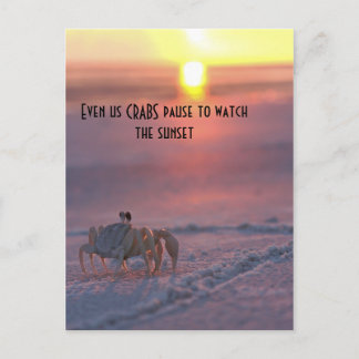 Cartão Postal Caranguejo observando o pôr do sol
