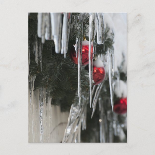 Cartão Postal Caranguejos (Frente)