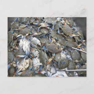 Cartão Postal Caranguejos