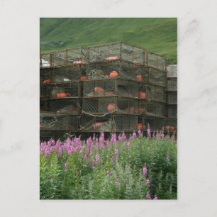 Cartão Postal Caranguejos armazenados no porto neerlandês, no A