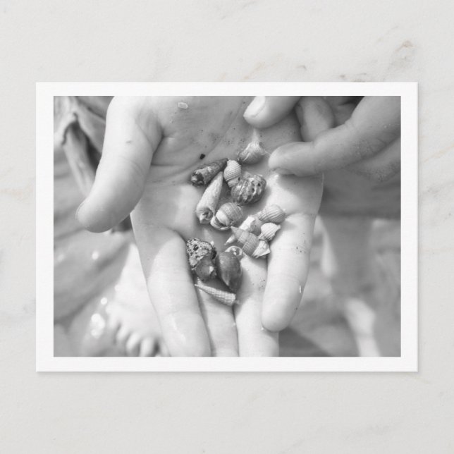 Cartão Postal caranguejos de eremita (Frente)