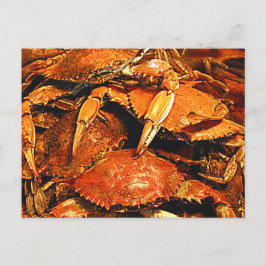 Cartão Postal Caranguejos Duros de Maryland vapor