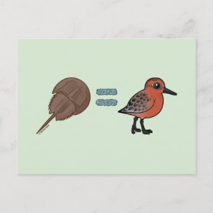 Cartão Postal Caranguejos-ferradura são a vida