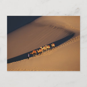 Cartão Postal Caravana no deserto, Dunhuang do camelo, Gansu