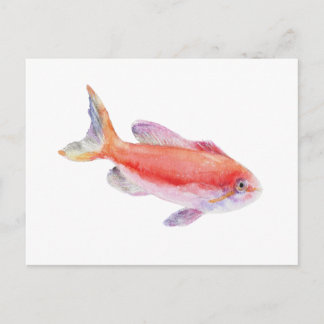 Cartão Postal Carberryi Anthias Fish Watercolor Illustration