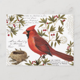 Cartão Postal cardeal de inverno da vintagem moderna