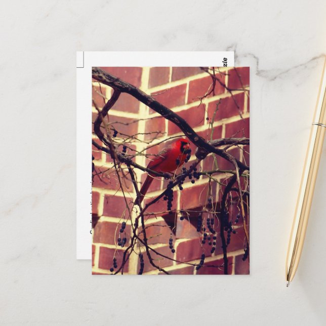 Cartão Postal Cardeal na Biblioteca dos 43 anos (Frente/Verso In Situ)