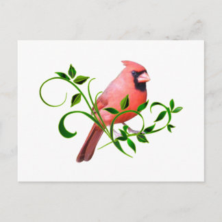 Cartão Postal Cardinal