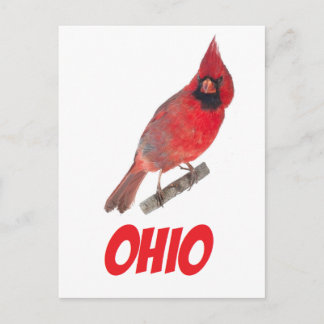 Cartão Postal Cardinal de Ohio