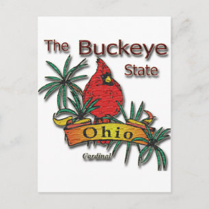 Cartão Postal Cardinal de Ohio Buckeye