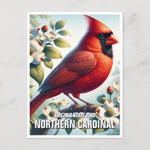 Cartão Postal Cardinal do Norte de Ave do Estado da Virgínia