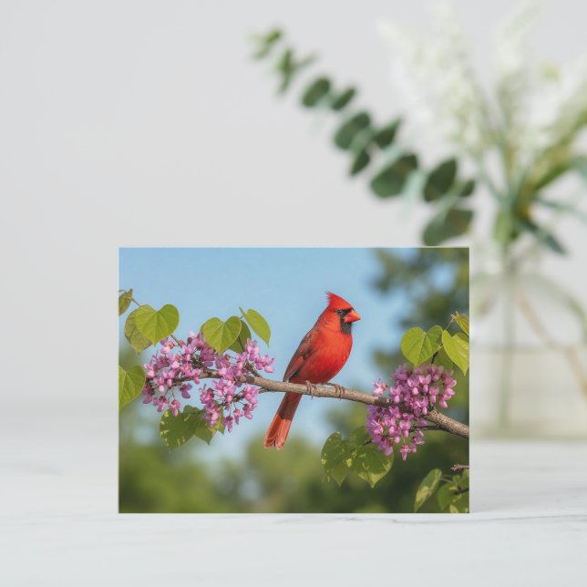 Cartão Postal Cardinal em um galho de Redbud (Em pé/Frente)