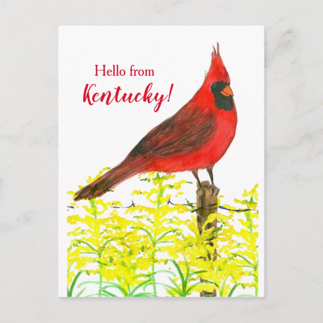 Cartão Postal Cardinal Goldenrod Olá De Kentucky (Frente)