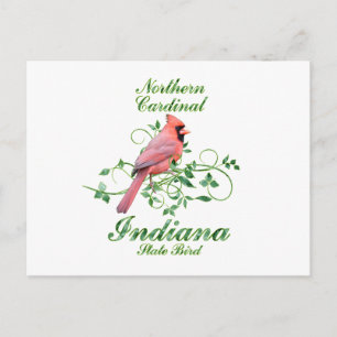Cartão Postal Cardinal Indiana State Bird