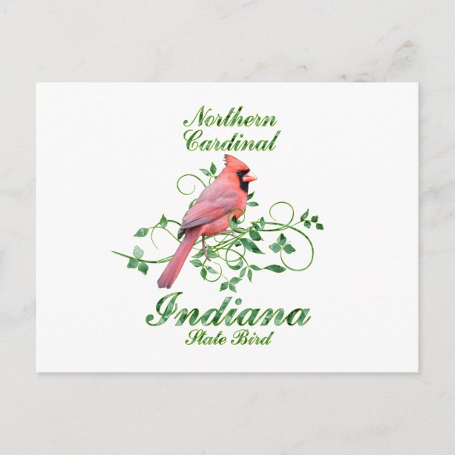 Cartão Postal Cardinal Indiana State Bird (Frente)
