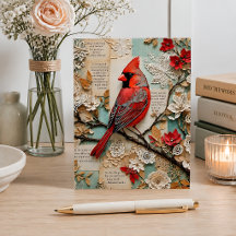 Cardinal Mídia Mista
