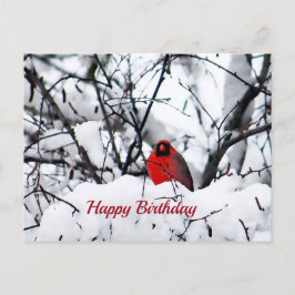 Cartão Postal Cardinal Papa-Leguas de Neve Foto Aniversário