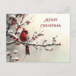 Cartão Postal Cardinal Vermelho de Natal Feriado