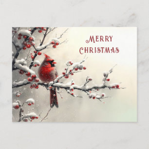 Cartão Postal Cardinal Vermelho de Natal Feriado